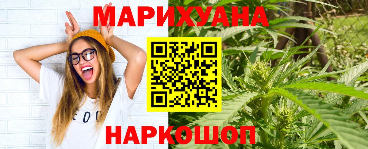 Канабис планчик Нововоронеж